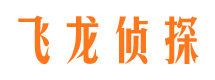 蓬溪私家侦探公司